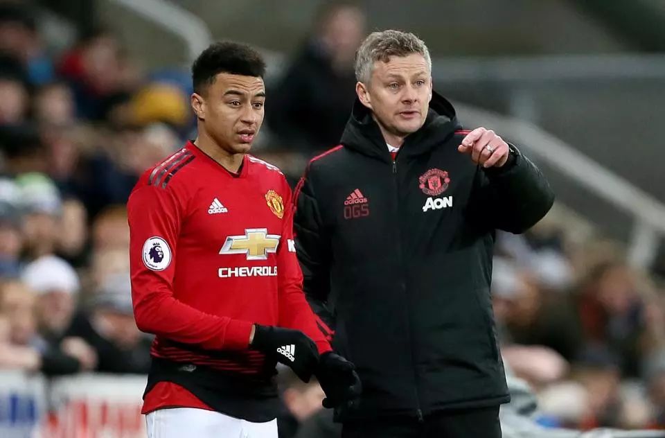 体育界的热 体育界的热