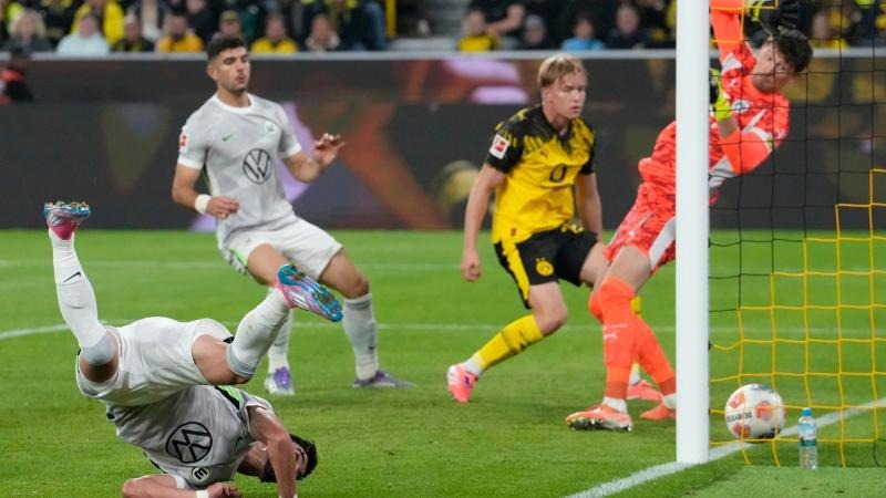 据对比吗 据对比吗